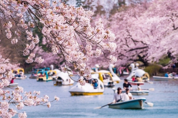 OSAKA – KOBE – KYOTO – NAGOYA – NÚI PHÚ SĨ – TOKYO1