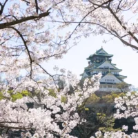 HÀ NỘI – NAGOYA – NARA – OSAKA – KYOTO – NÚI PHÚ SĨ – TOKYO – NGẮM HOA ANH ĐÀO – HÀ NỘI1