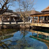 HÀ NỘI – NAGOYA – NARA – OSAKA – KYOTO – NÚI PHÚ SĨ – TOKYO – NGẮM HOA ANH ĐÀO – HÀ NỘI12