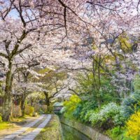 OSAKA – KOBE – KYOTO – NAGOYA – NÚI PHÚ SĨ – TOKYO4