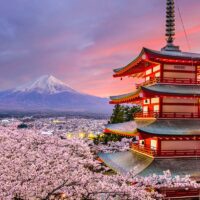 HÀ NỘI – NAGOYA – NARA – OSAKA – KYOTO – NÚI PHÚ SĨ – TOKYO – NGẮM HOA ANH ĐÀO – HÀ NỘI