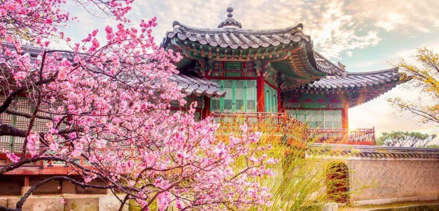 HÀ NỘI – BUSAN – CỐ ĐÔ GYEOUNGJU – SEOUL – HÀ NỘI6
