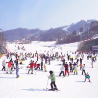 Tour du lịch Hàn Quốc – Trượt tuyết – Seoul – Lotte – Elysian 5 ngày 4 đêm2