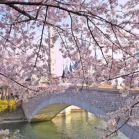 HÀ NỘI – SEOUL – CÔNG VIÊN EVERLAND – THÁP TRUYỀN HÌNH NAM SAN – ĐẢO NAMI – YEOUIDO PARK – LÀNG CỔ NAMSANGOL