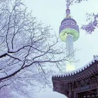 Tour du lịch Hàn Quốc – Trượt tuyết – Seoul – Lotte – Elysian 5 ngày 4 đêm3