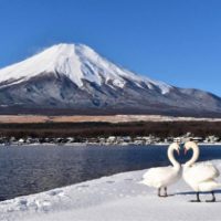 Tour du lịch Nhật Bản tết âm lịch 2026 – 6 ngày 5 đêm, bay Vietjet Air12