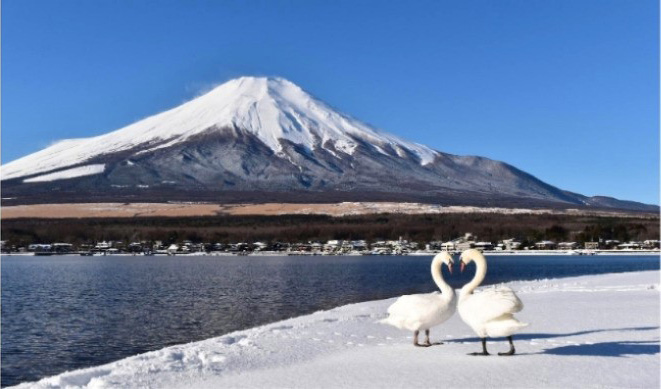 Tour du lịch Nhật Bản tết âm lịch 2026 – 6 ngày 5 đêm, bay Vietjet Air12