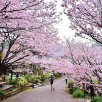 ĐÀI BẮC – ĐÀI TRUNG – NAM ĐẦU – CAO HÙNG4