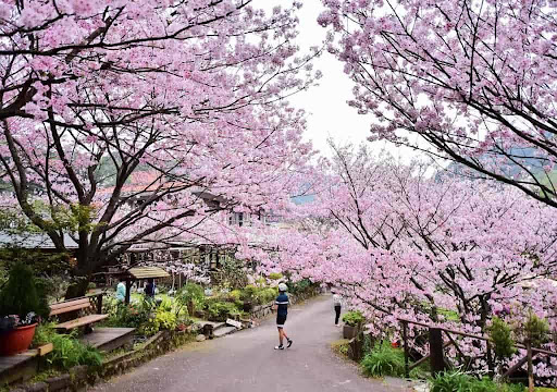 ĐÀI BẮC – ĐÀI TRUNG – NAM ĐẦU – CAO HÙNG4