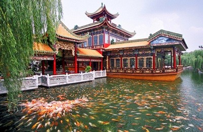 HÀ NỘI – QUẢNG CHÂU – THÂM QUYẾN – CHU HẢI3