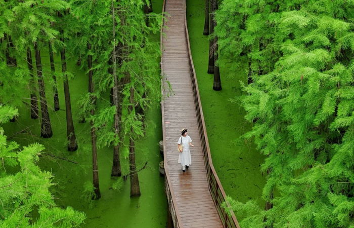 HÀ NỘI – THƯỢNG HẢI – TÂY Ô TRẤN – HÀNG CHÂU – HỒ  THANH SƠN2