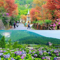 ĐÀI BẮC- ĐÀI TRUNG- NAM ĐẦU- ĐÀI NAM-CAO HÙNG1