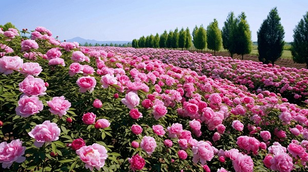 HÀ NỘI – TÂY AN – LẠC DƯƠNG – THIẾU LÂM TỰ – TRỊNH CHÂU – KHAI PHONG PHỦ9