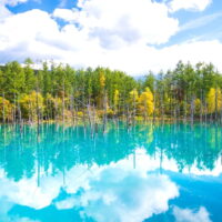 HOKKAIDO – NOBORIBETSU – SAPPORO – OTARU2