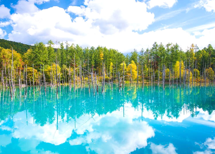 HOKKAIDO – NOBORIBETSU – SAPPORO – OTARU2