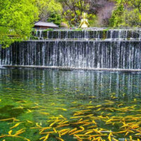 ĐẠI LÝ – LỆ GIANG – SHANGRILA5