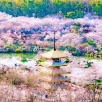 HÀ NỘI – VŨ HÁN – QUANG CỐC6