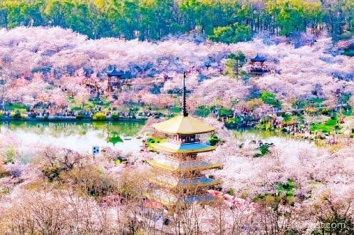 HÀ NỘI – VŨ HÁN – QUANG CỐC6