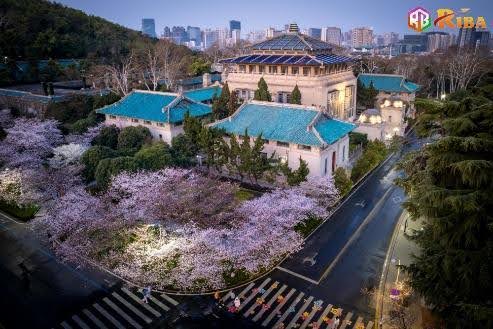 HÀ NỘI – VŨ HÁN – QUANG CỐC2