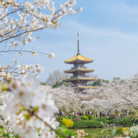 HÀ NỘI – VŨ HÁN – QUANG CỐC